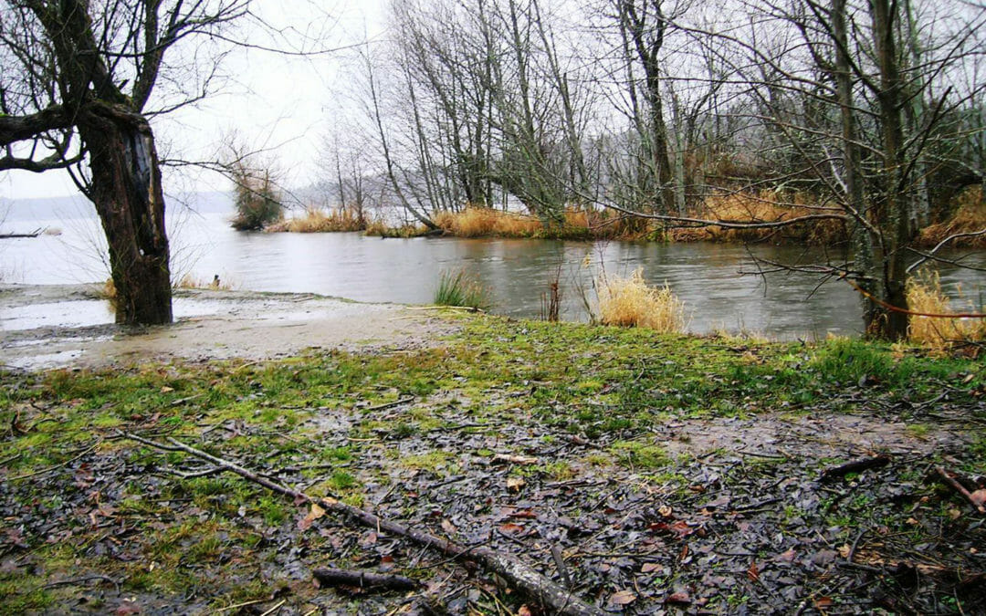 Lake Sammamish State Park