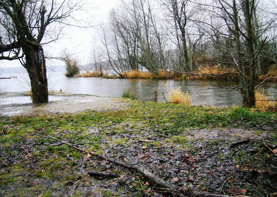 Lake Sammamish State Park