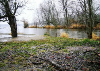 Lake Sammamish State Park