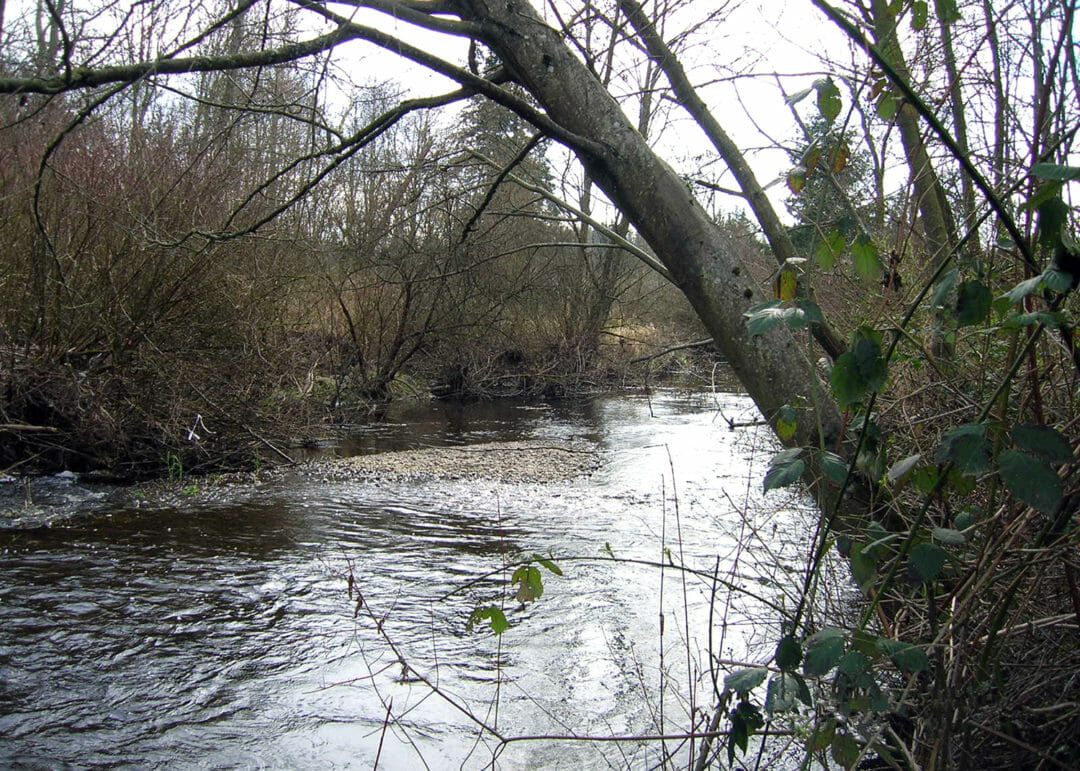 Land Surveyors for North Creek