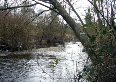 North Creek in Snohomish County