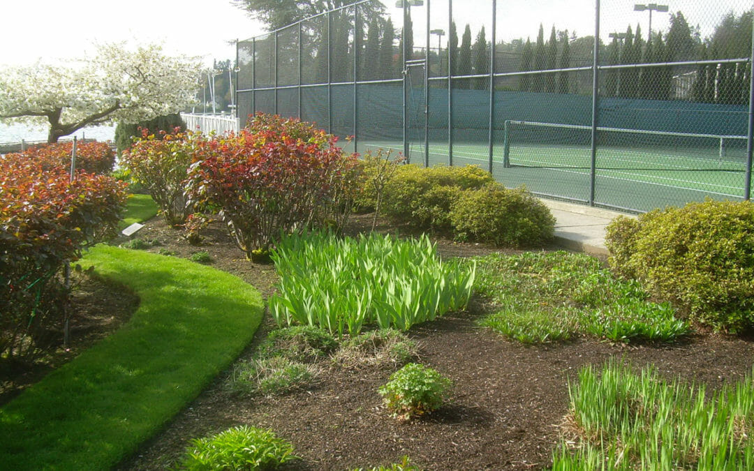 Seattle Tennis Club