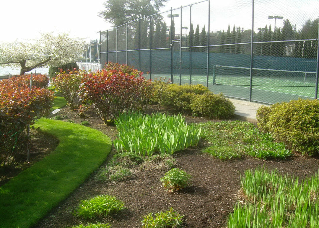 Civil Engineers for Seattle Tennis Club