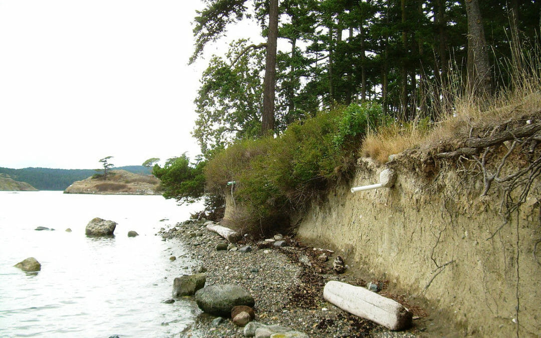Sperry Point on Lopez Island