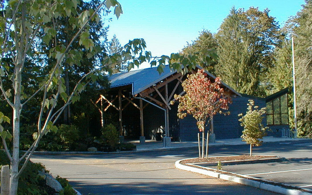 Timberland Library