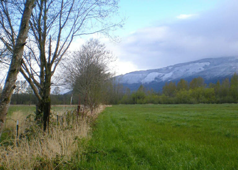 Land Surveyors for Hansen Creek