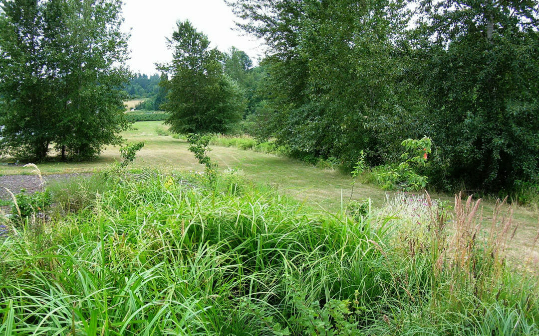 WSU Agricultural Research