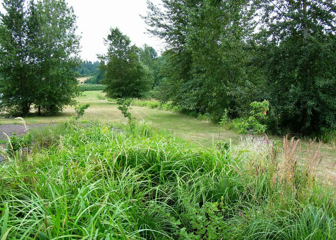 Land Surveyors for WSU Agricultural Research